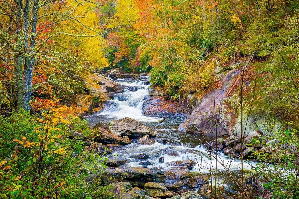 This image features a tranquil outdoor scene with flowing water, colorful trees, and rock formations, evoking a peaceful, natural setting perfect for nature exploration. The vibrant foliage and scenic beauty invite thoughts of leisurely walks and outdoor adventures.